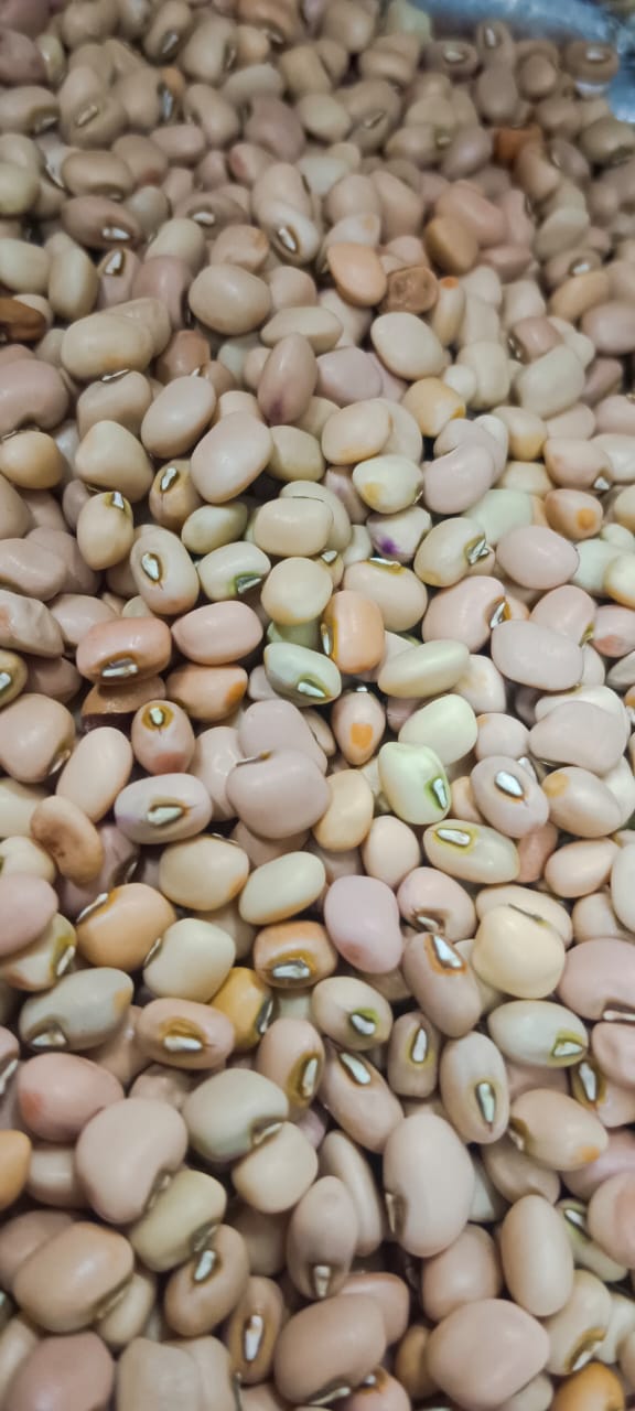 Cow Peas Pink ORGANIC (500 G)