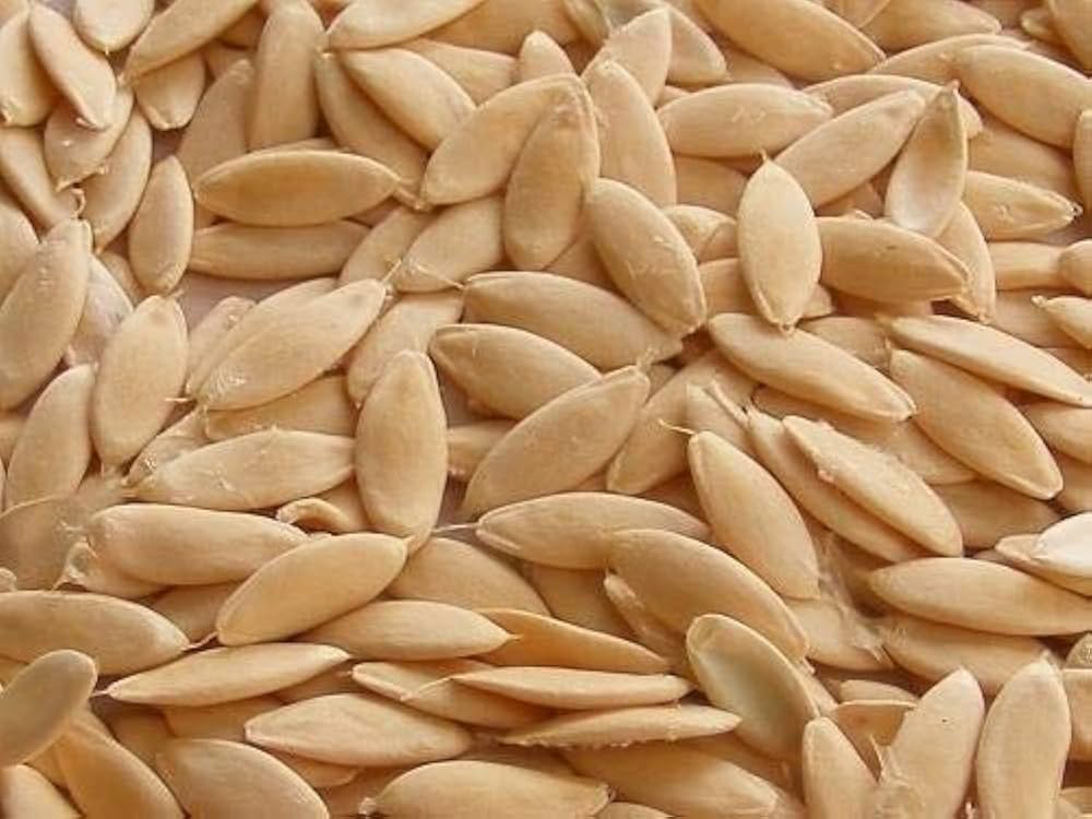 Cucumber Seeds Sprout Activated (100 G)