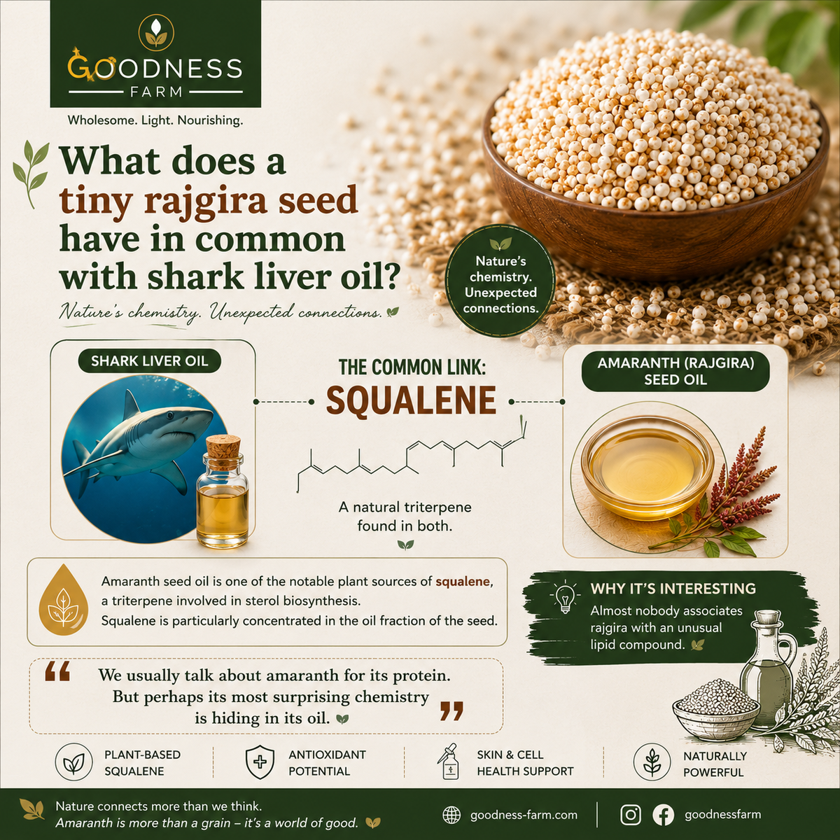 What does amaranth/ rajgira have in common with shark liver oil?