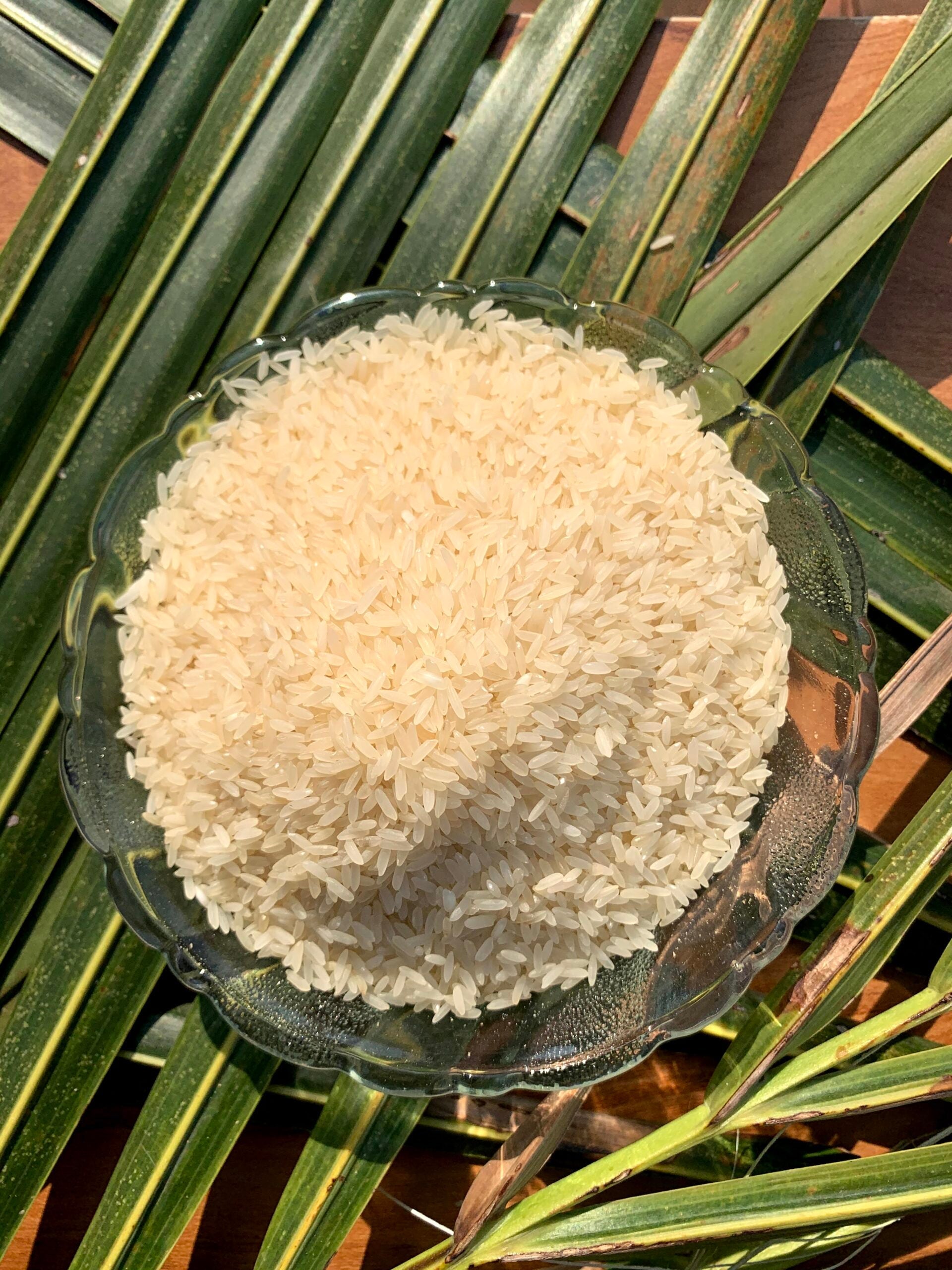 Rice & Wheat