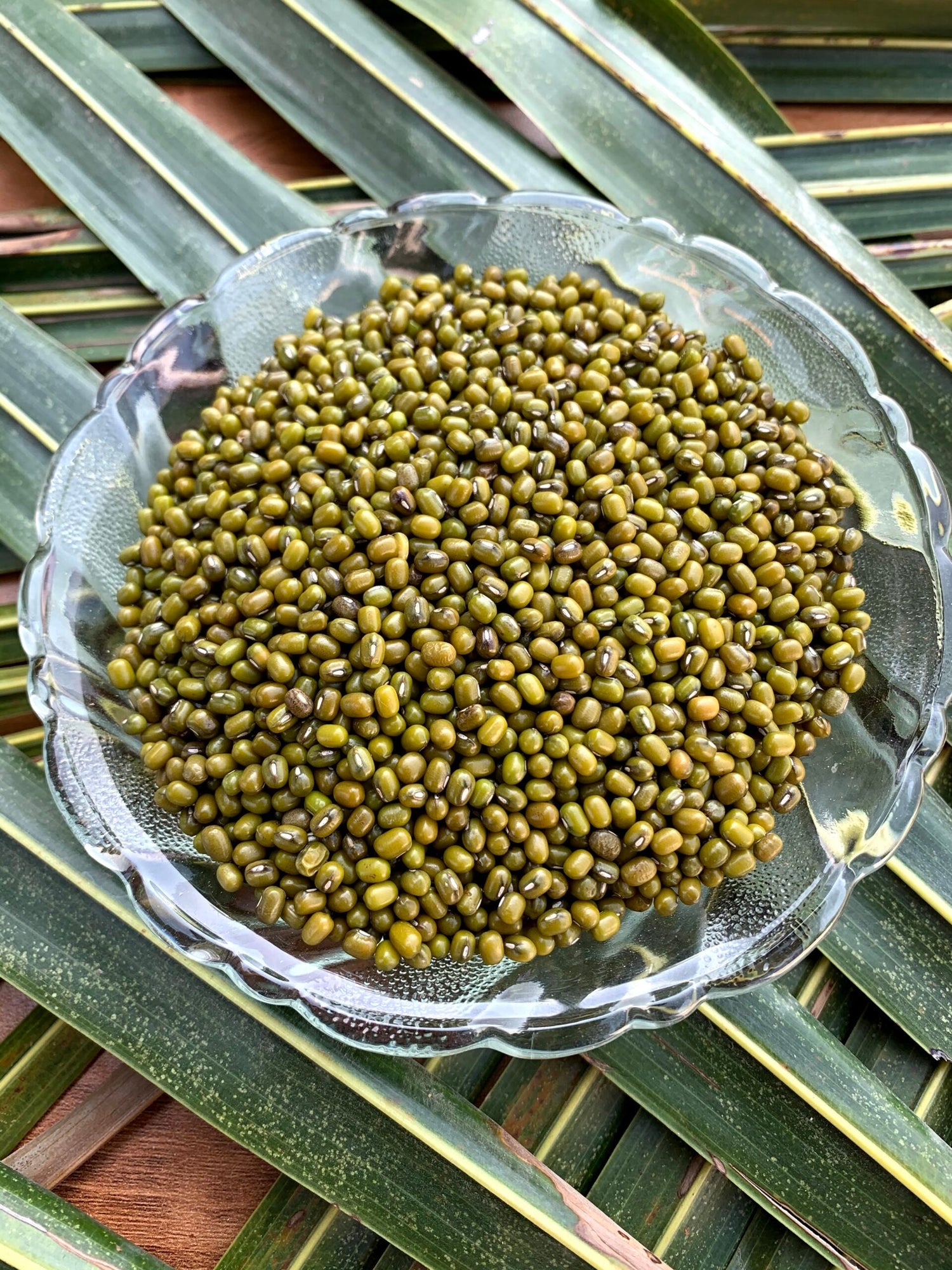 Lentils & Pulses (Sprout Activated)