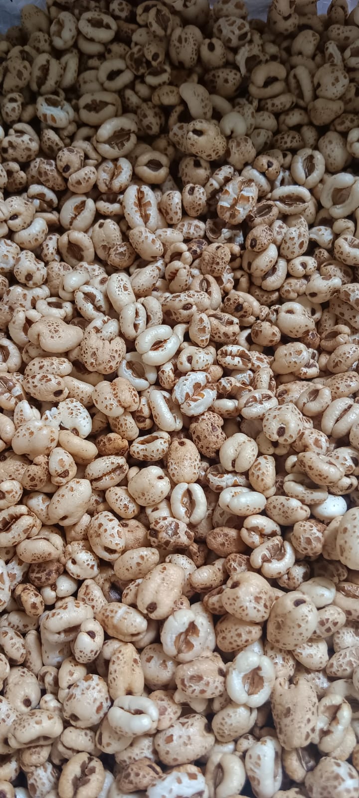 Puffed Grains