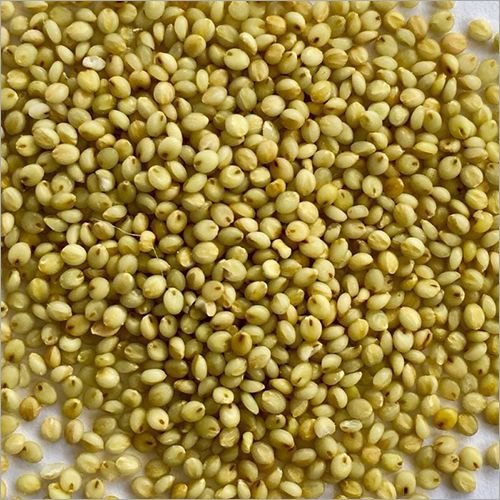 Millets (Sprout Activated)