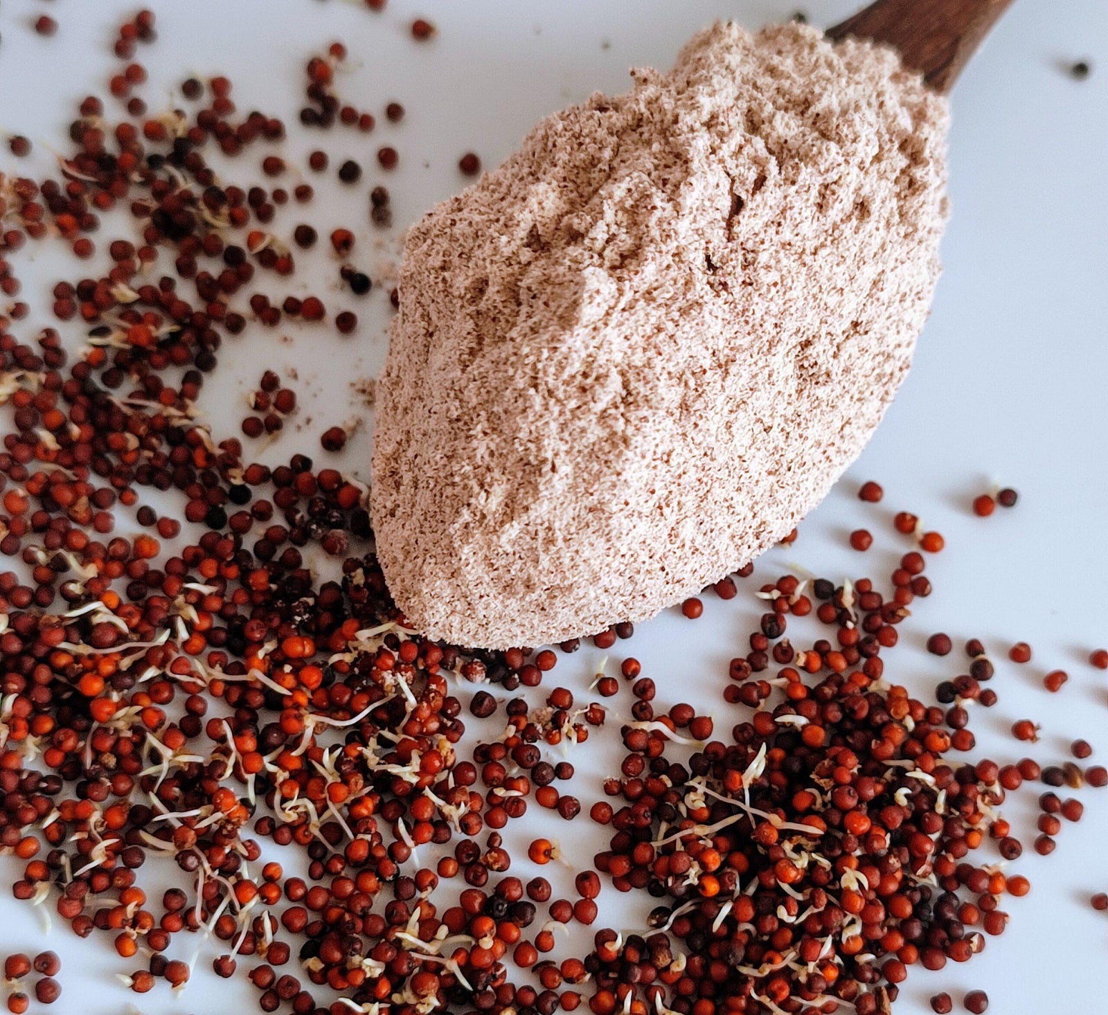 Flours (Sprouted)
