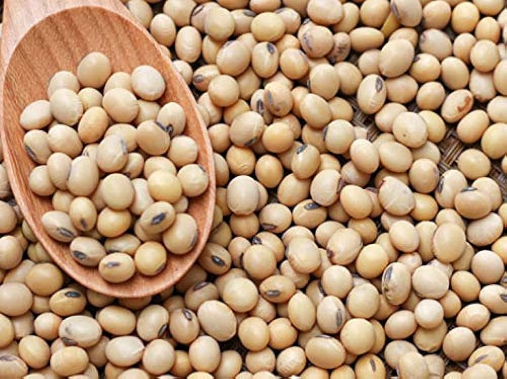 Soya Beans (500 G)