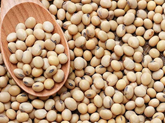 Soya Beans (500 G)