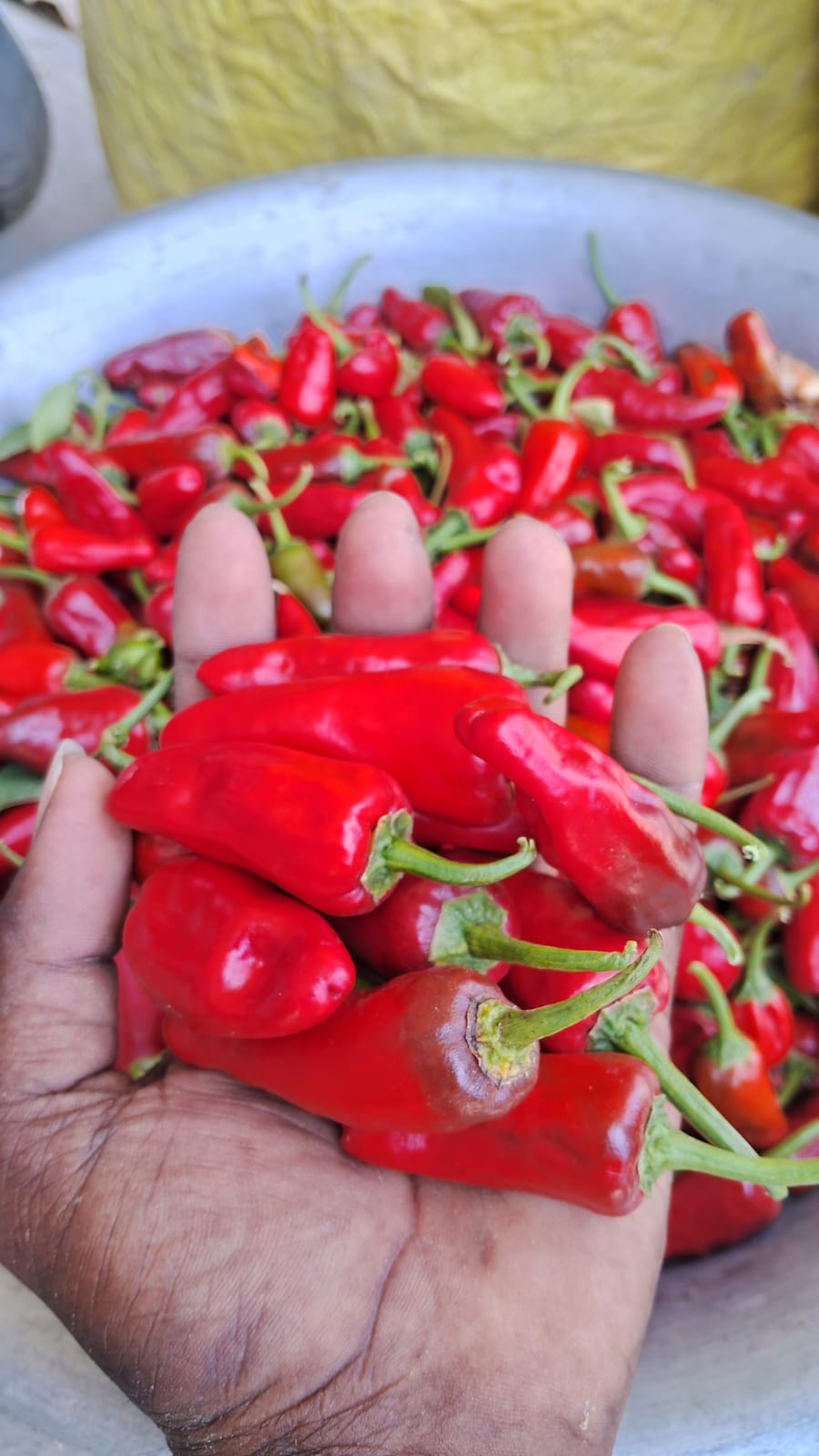 Red Chilli- Kaar Variety (250 gms)