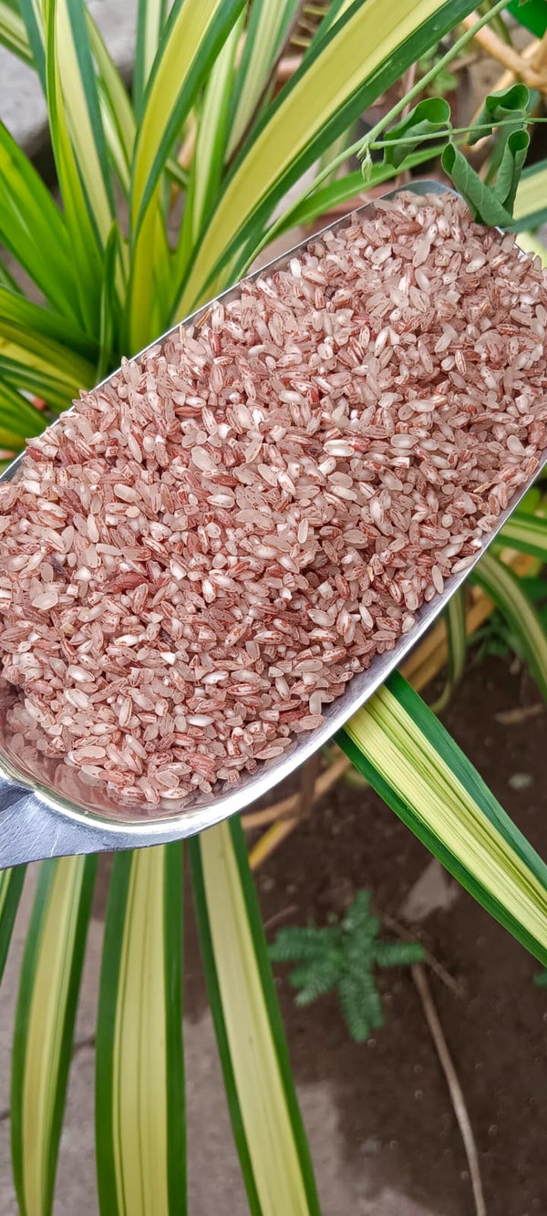 Poongar Rice Sprout Activated Parboiled (1 kg) – Goodness Farm