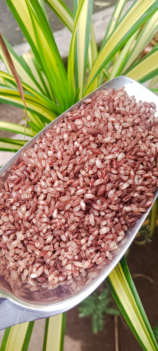 Maapillai Samba Red Rice Sprout Activated Parboiled (1 Kg)