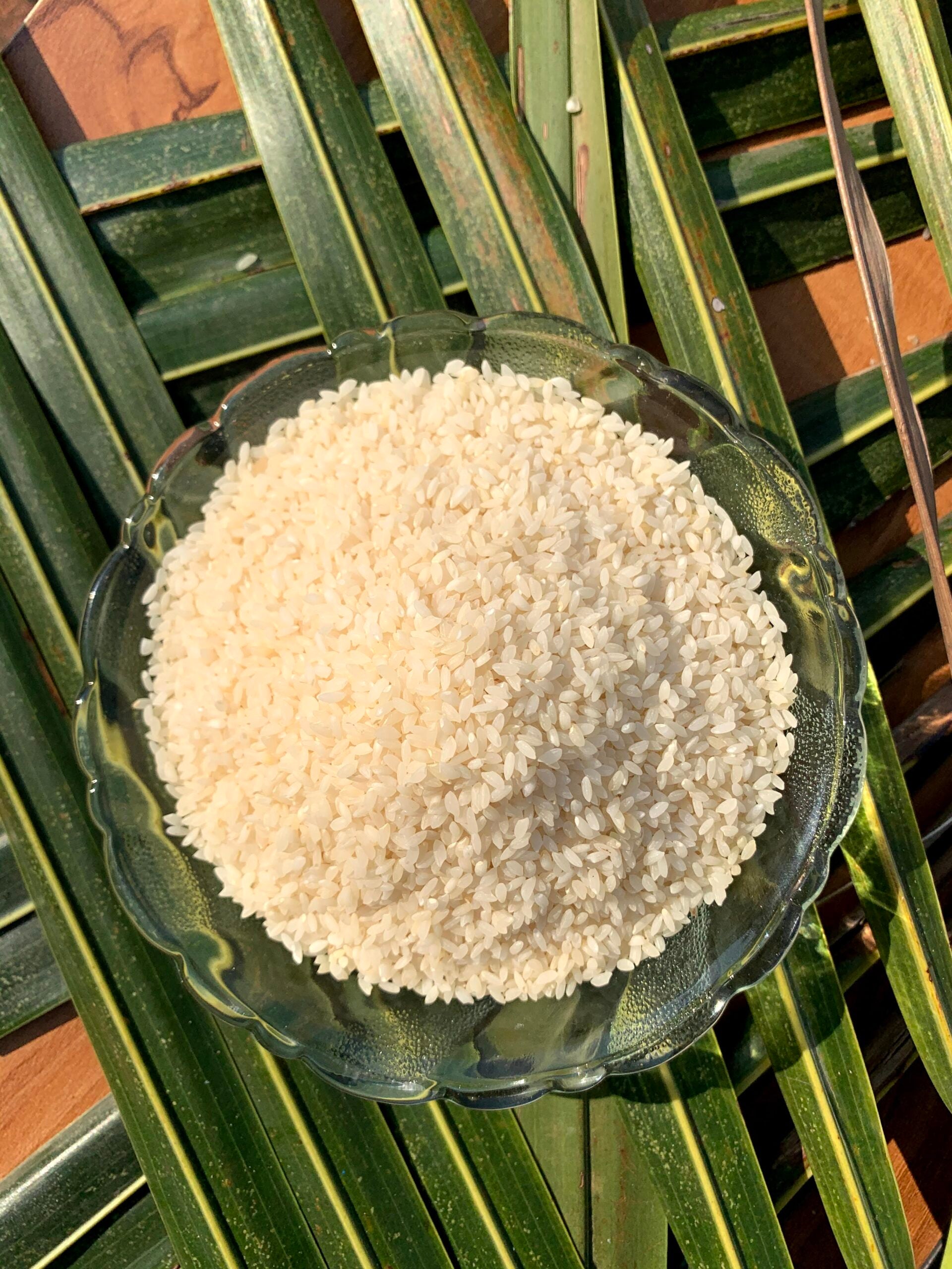 Seeraga Samba/ Jeerakasala/ Kaima Rice ORGANIC (1 kg)