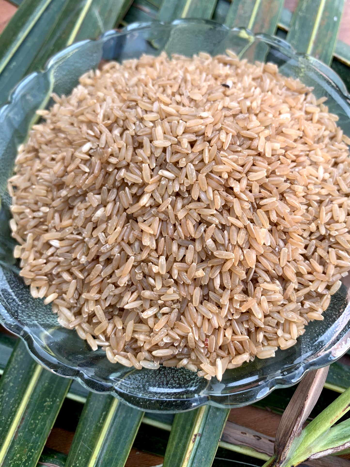 Ponni Rice - Sprout activated Hand Pounded Brown Rice (1 kg)