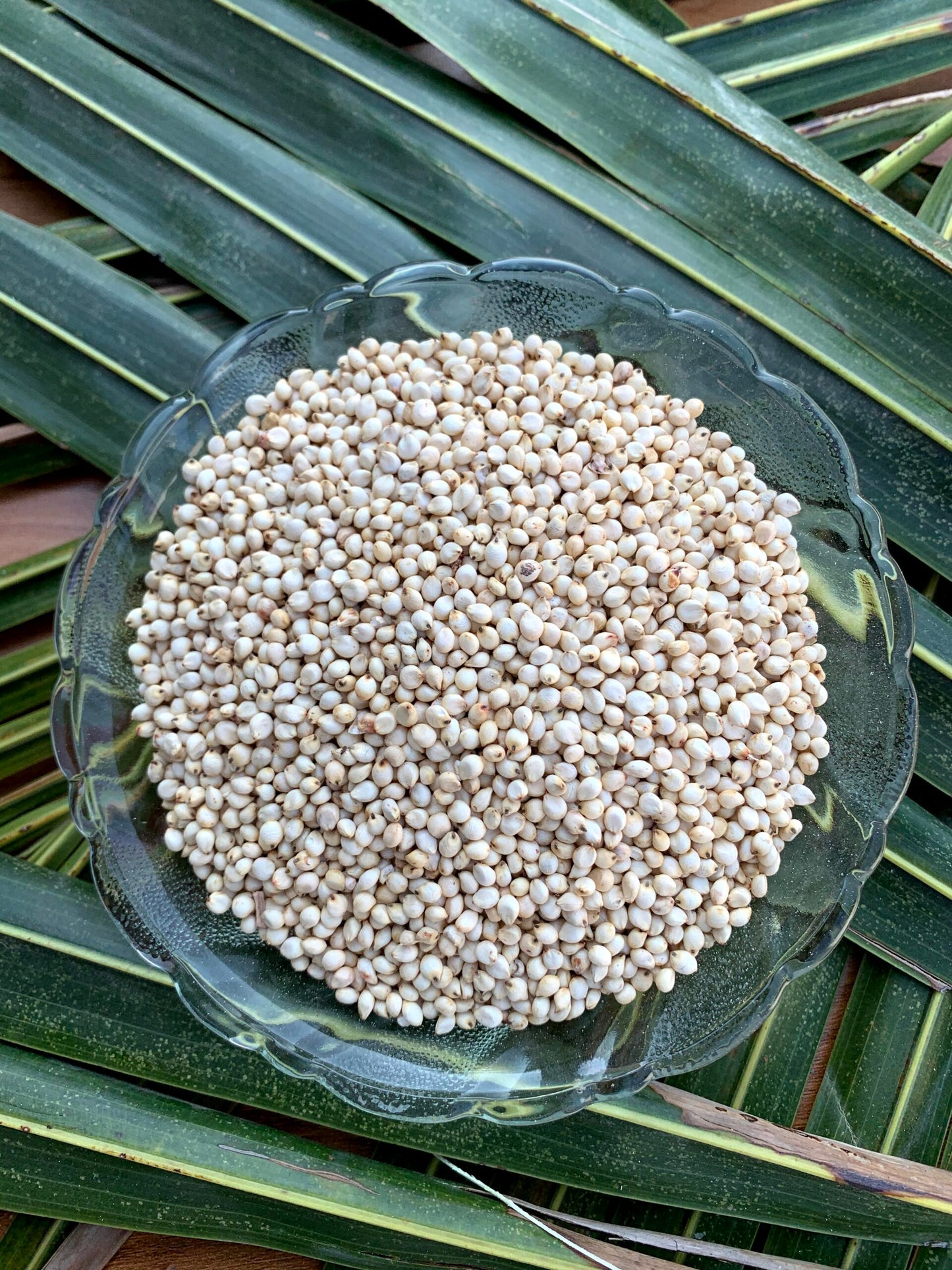 Jowar Mathaapu (500 G)