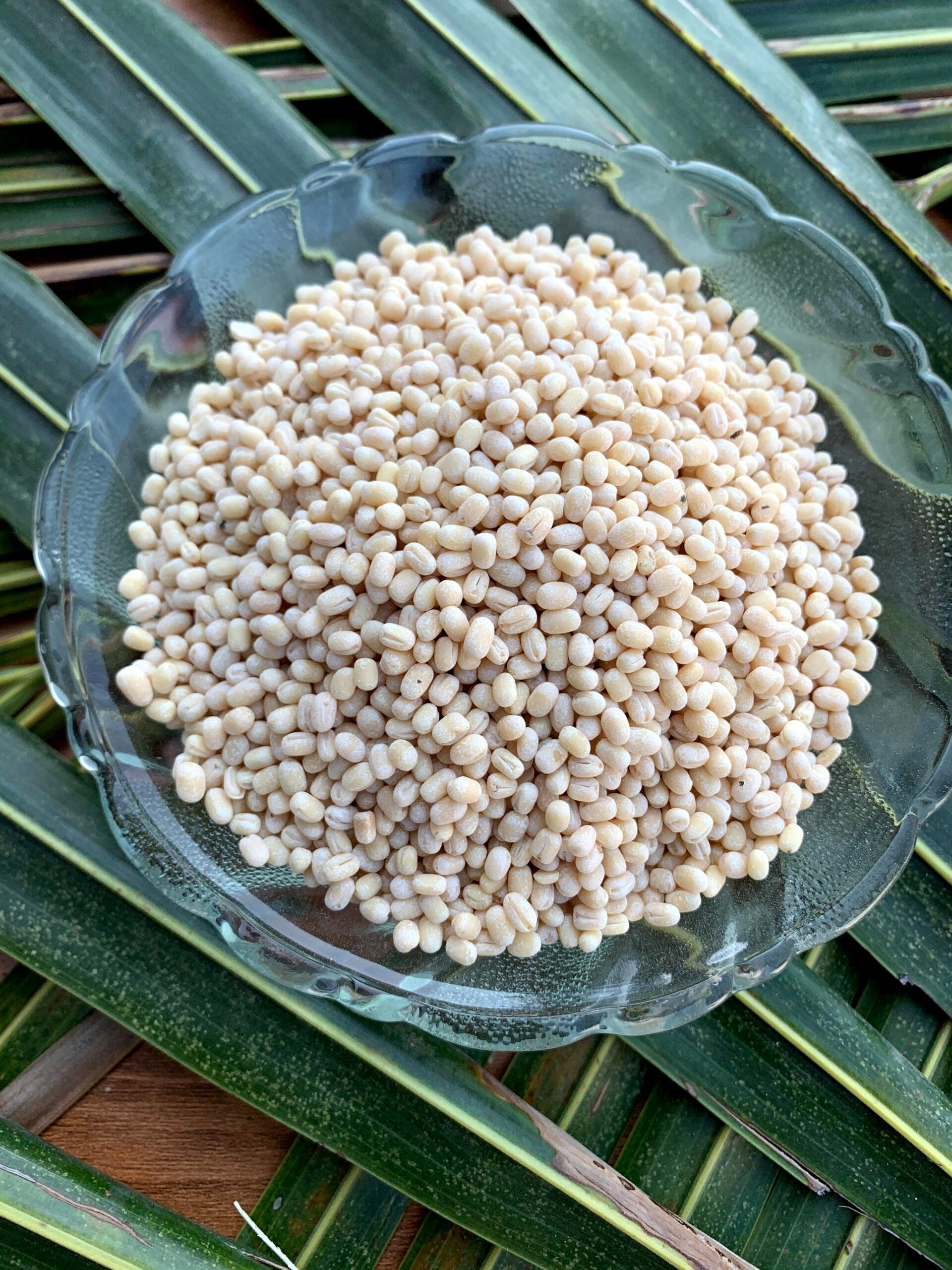 Urad Dal Whole Deskinned Sprout Activated