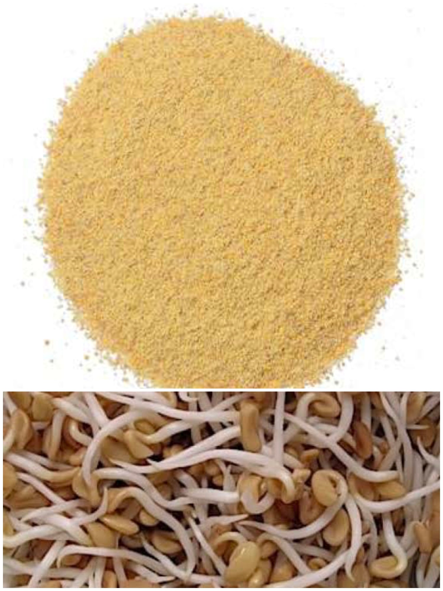 Sprouted Fenugreek Seeds Powder ORGANIC (100 G)