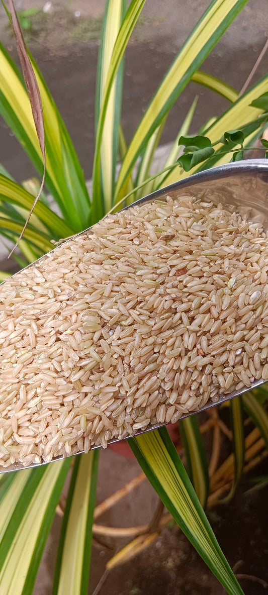 Ilupai Poo Samba Rice 1 kg (sprout activated, parboiled) ORGANIC