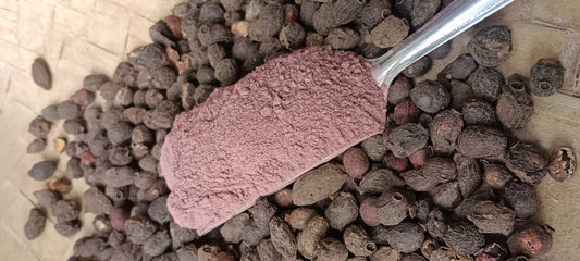 Jaamun Seeds Powder, Organic (100g)