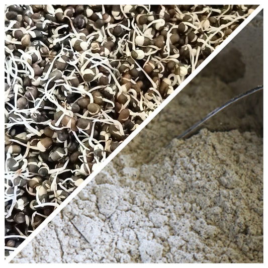 Sprouted Urad dal/ Black gram Flour (500 G)