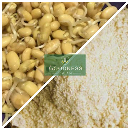 Sprouted Soya Beans Flour (500 G)