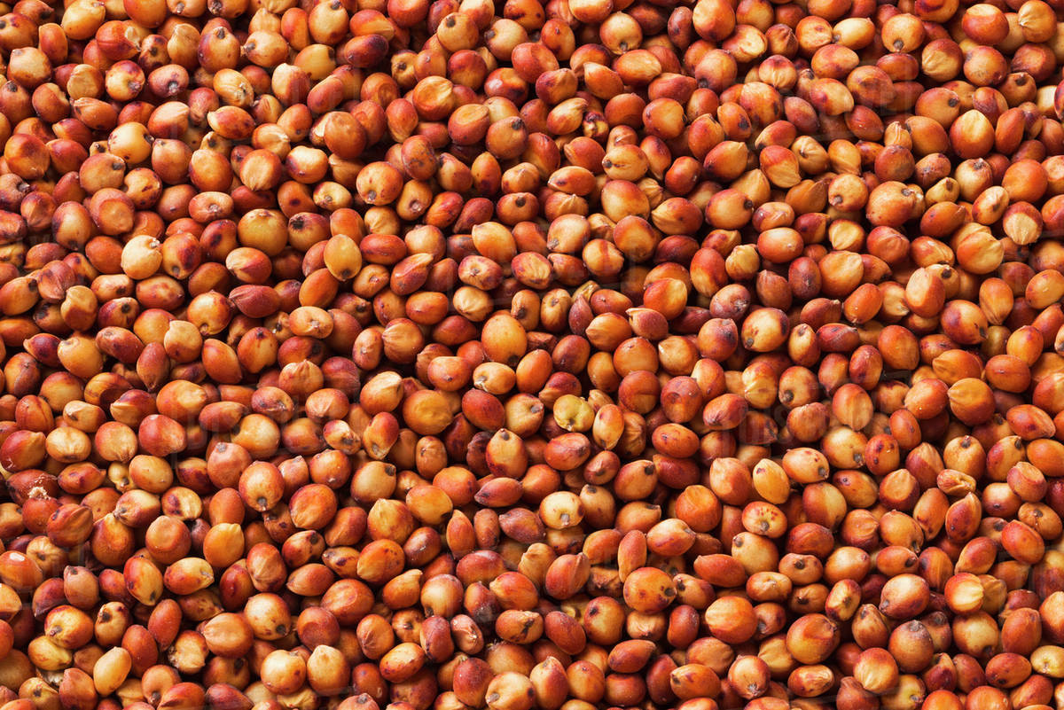 Jowar Red ORGANIC (500 G)