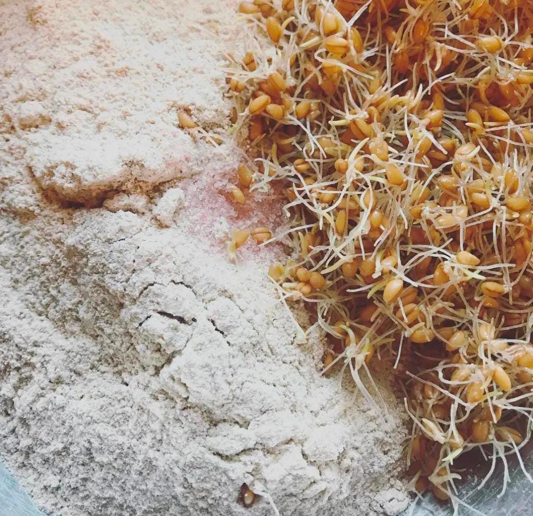 Sprouted Samba/ Khapli/ Emmer Wheat Flour ORGANIC