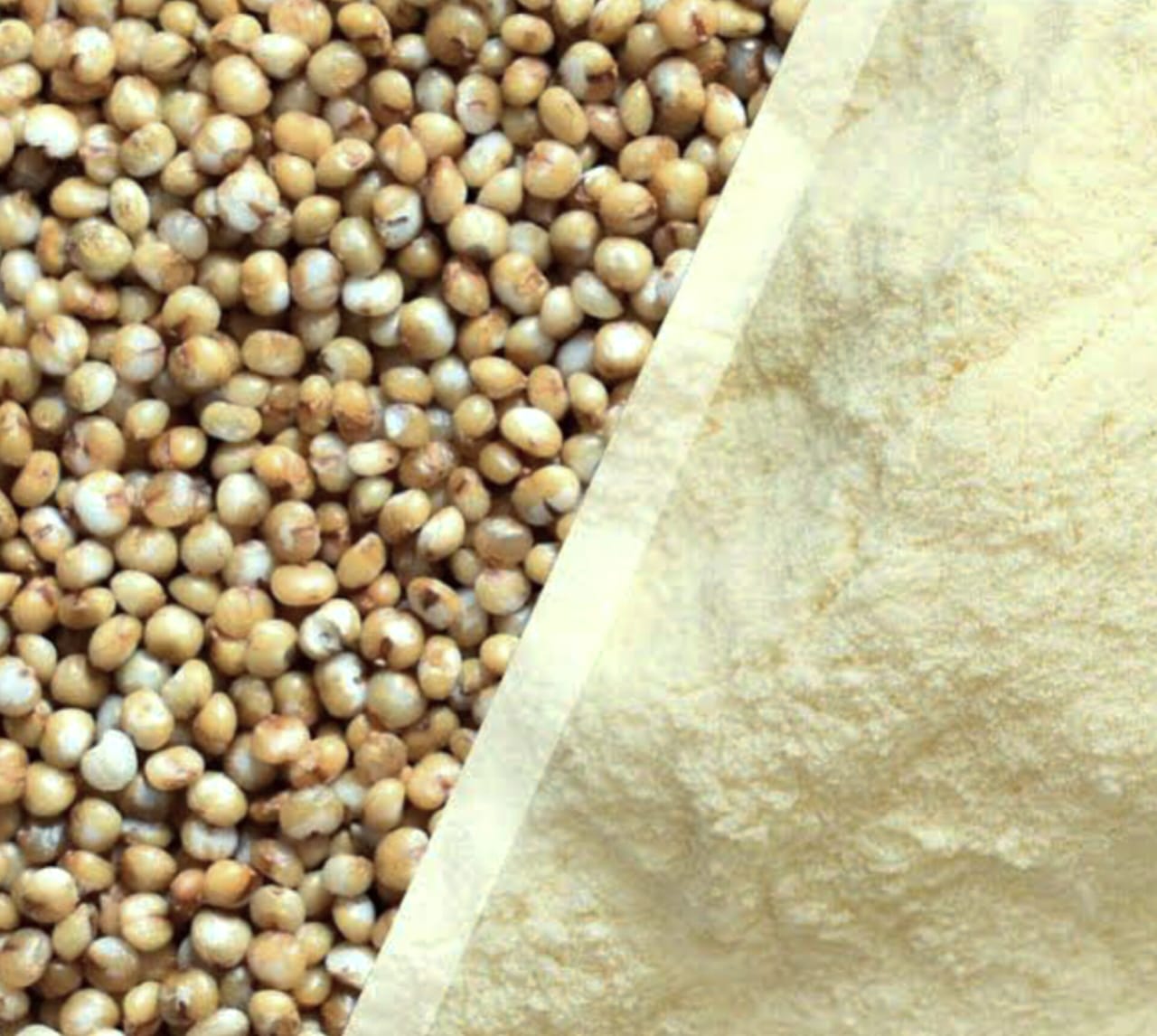 Sprouted Browntop Millet Flour ORGANIC (500 G)