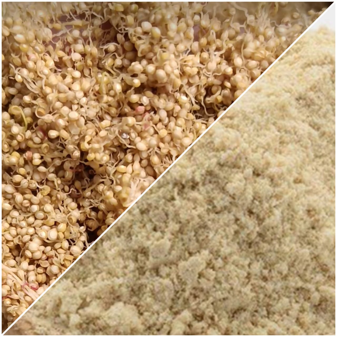 Sprouted Amaranth Flour ORGANIC (500 G)