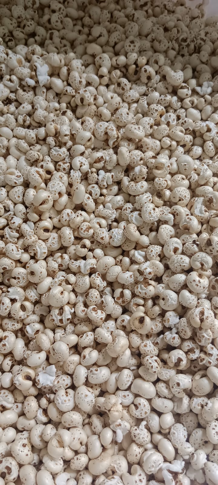 Puffed Jowar (100 G)