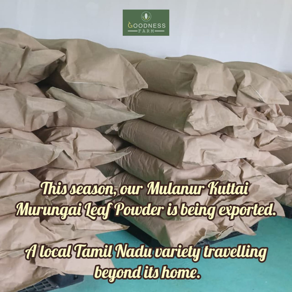 Moringa Leaves Powder ORGANIC (100 G)