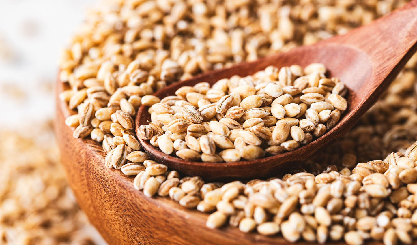 Barley Sprout Activated & Hulled (500 G)