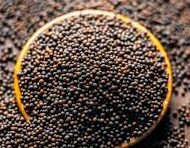 Mustard Seeds Organic (100 G)