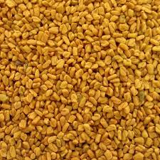 Fenugreek/ Methi Seeds ORGANIC (100 G)