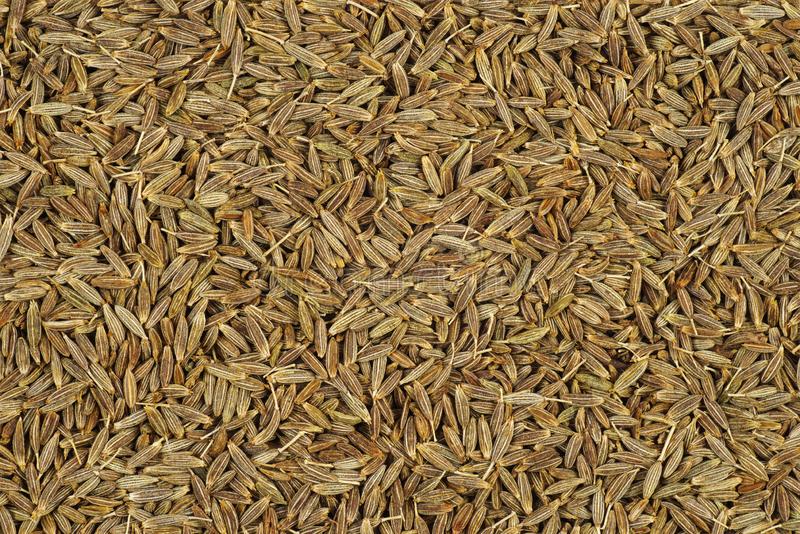 Jeera ORGANIC (100 G)