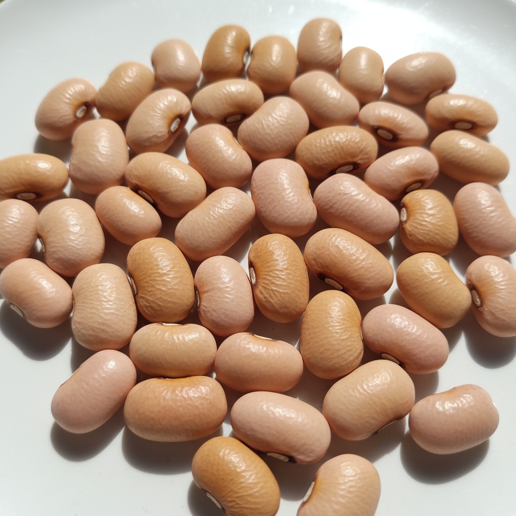 Cow Peas Pink ORGANIC (500 G)