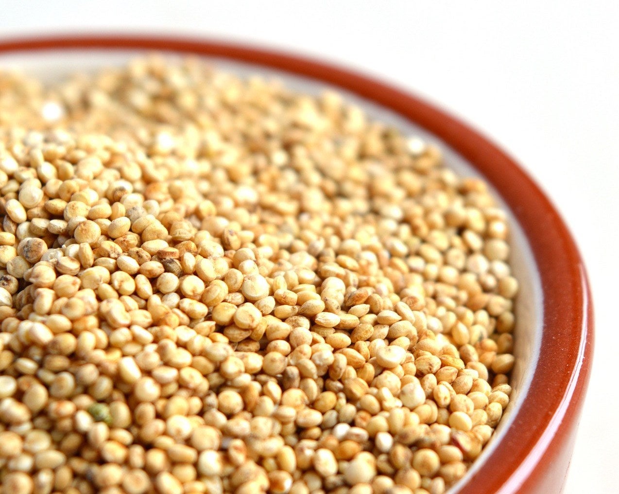 Quinoa Sprout Activated ORGANIC (500 G)