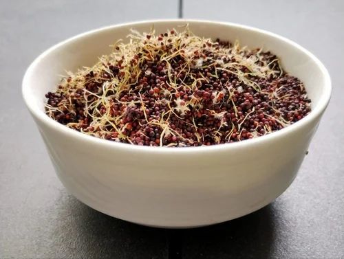 Ragi Suruttai Sprouted and Dried (500 G)
