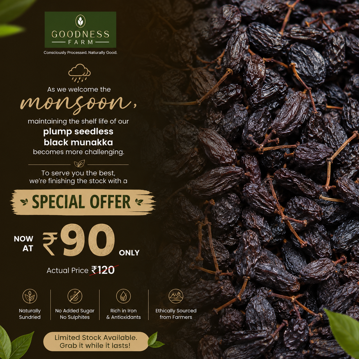 Munakka Raisins Seedless Organic (100 G)
