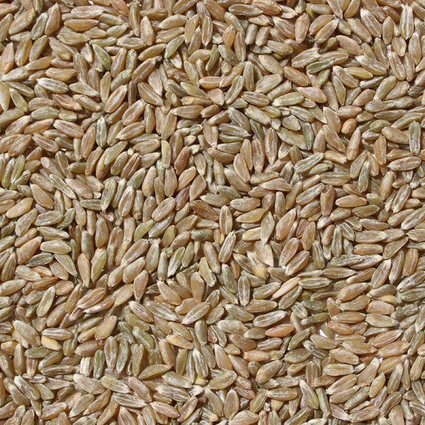 Samba/ Khapli/ Emmer Wheat Whole (500 G)