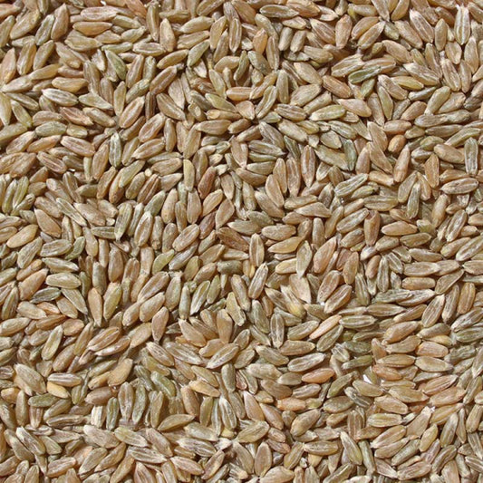 Samba/ Khapli/ Emmer Wheat Whole (500 G)