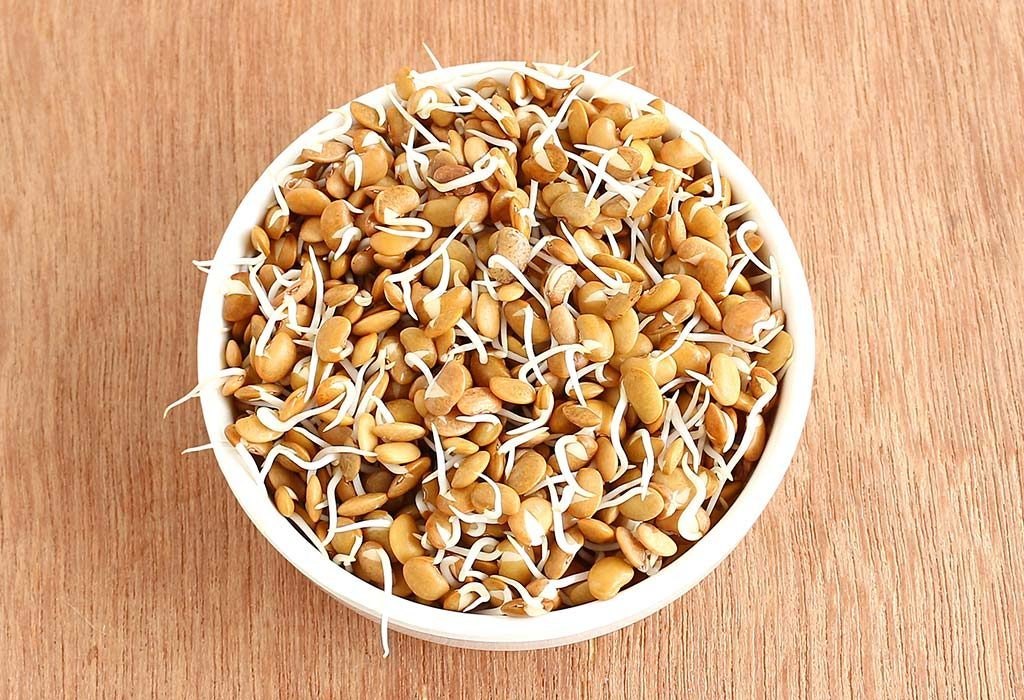 Horse Gram Brown Sprouted & Dried ORGANIC (500 G)