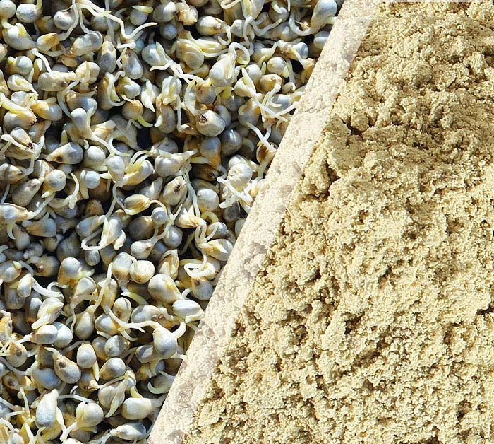 Sprouted Bajra Kurru Flour (500 G)