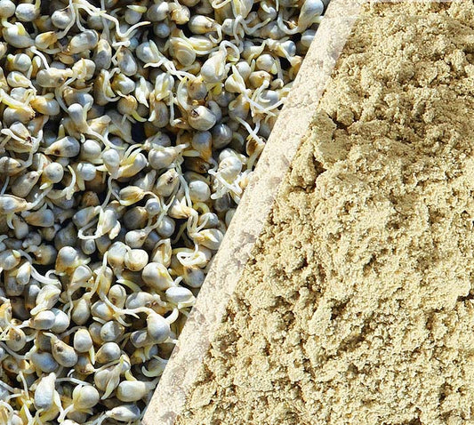 Sprouted Bajra Kurru Flour (500 G)