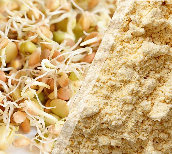 Sprouted Bengal Gram Flour/ Besan (500 G)