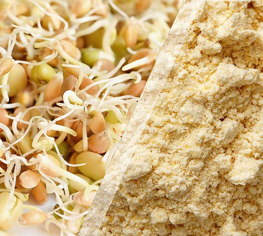 Sprouted Bengal Gram Flour/ Besan (500 G)