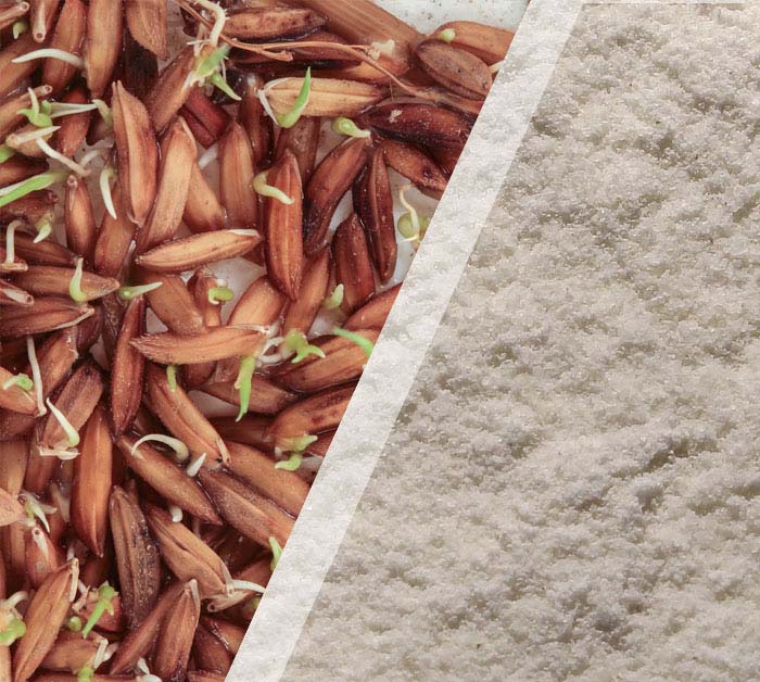 Sprouted Maapillai samba- Red Rice Flour (500 G)