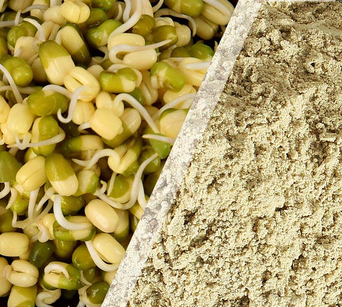Sprouted Green Gram Flour (500 G)