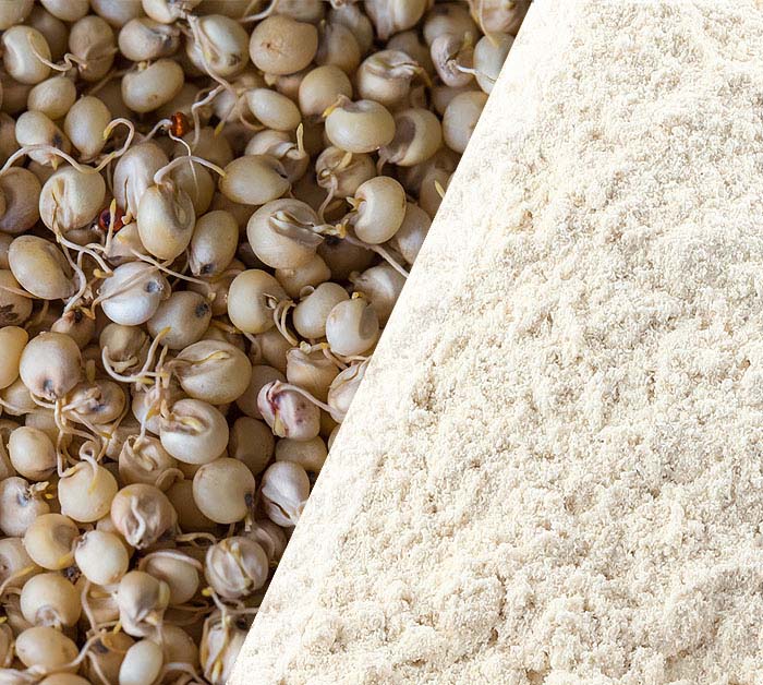 Sprouted Jowar flour ORGANIC (500 G)